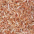 Tropical Gammarus 250 ml