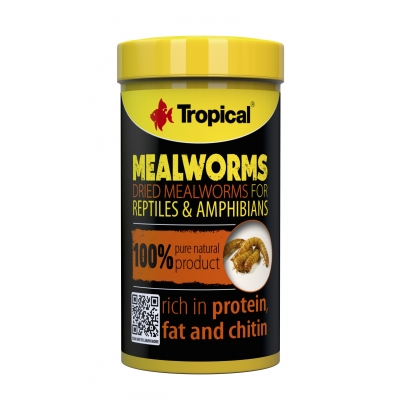 Tropical Meal Worms | getrocknete Mehlwürmer