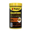Tropical Meal Worms | getrocknete Mehlwürmer