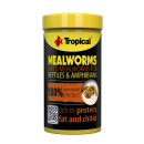 Tropical Meal Worms 100 ml