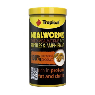 Tropical Meal Worms 250 ml
