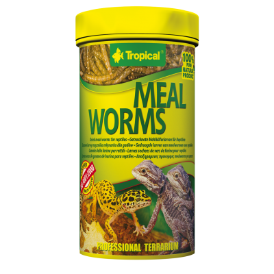 Tropical Meal Worms 250 ml