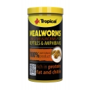 Tropical Meal Worms 250 ml