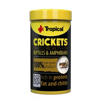 Tropical Crickets | Getrocknete Heimchen