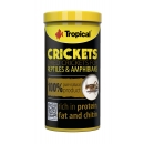 Tropical Crickets 250 ml
