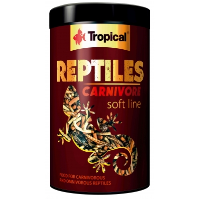 Tropical Reptiles Carnivore Soft Line