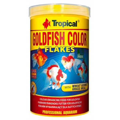 Tropical Goldfish Color