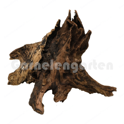 Wurzelstock Driftwood dark - 1