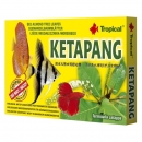 Tropical Ketapang - Seemandelbaumblätter im...