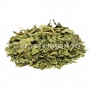 Garnelengarten® Moringa oleifera Blätter 50 g