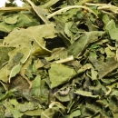 Garnelengarten® Moringa oleifera Blätter 50 g
