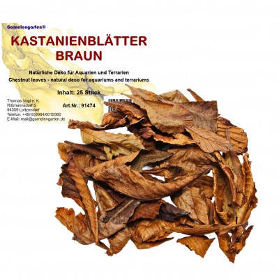 PowerNature - Kastanienblätter braun 25 Stück