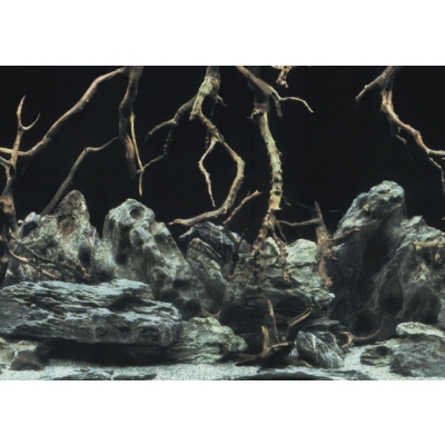 Aqua Nova Hintergrund Roots/Water L - 100x50 cm