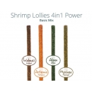 Garnelenhaus Shrimp Lollies 4 in1 Power 8 St.