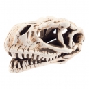 Aqua Nova Dino Skull