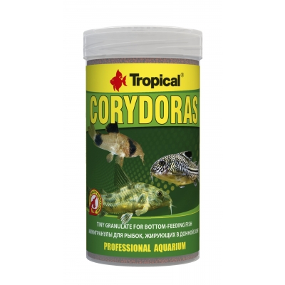 Tropical Corydoras - NEU
