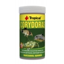 Tropical Corydoras - NEU