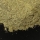 EarthPro InsectFuel | Insektennahrung