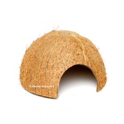 Kokosnuss Höhle